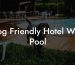 Dog Friendly Hotel With Pool