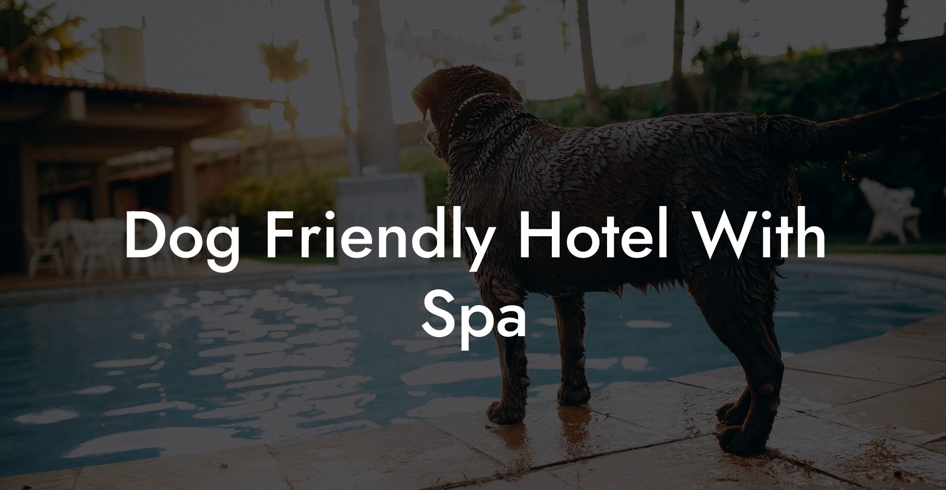 Dog Friendly Hotel With Spa