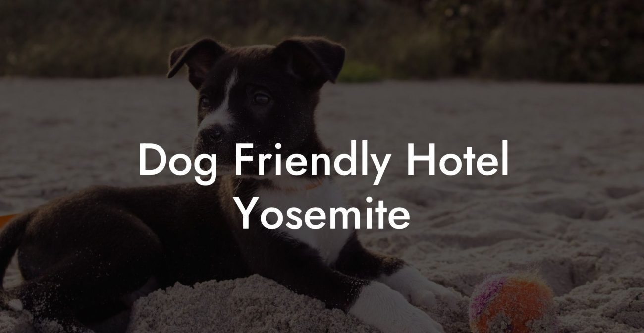 Dog Friendly Hotel Yosemite