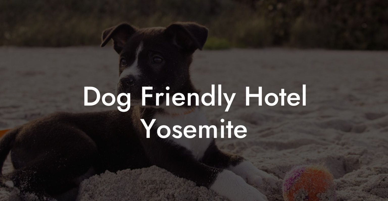 dog-friendly-hotel-yosemite-dog-hotels
