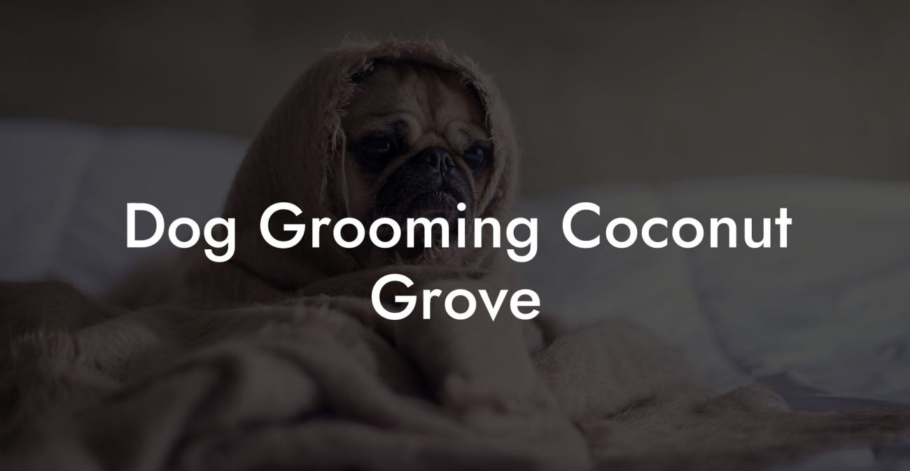 Dog Grooming Coconut Grove