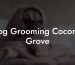 Dog Grooming Coconut Grove
