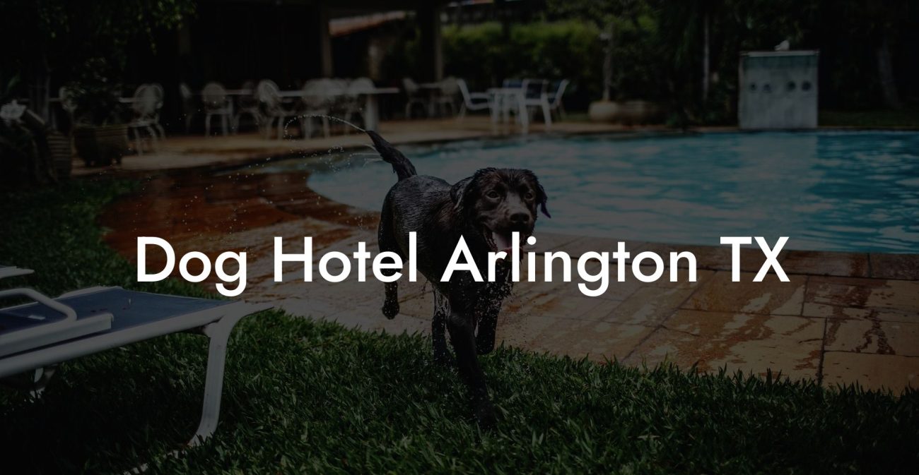 Dog Hotel Arlington TX