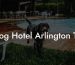 Dog Hotel Arlington TX