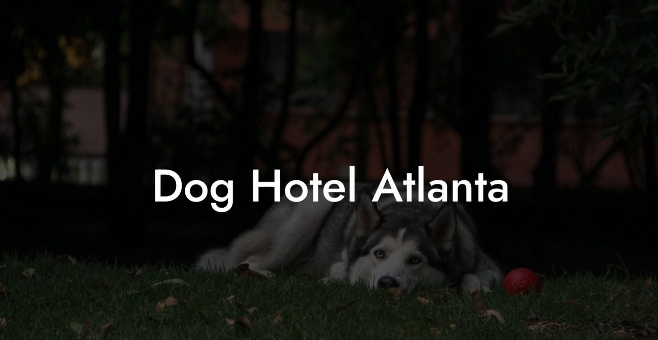 Dog Hotel Atlanta
