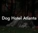 Dog Hotel Atlanta