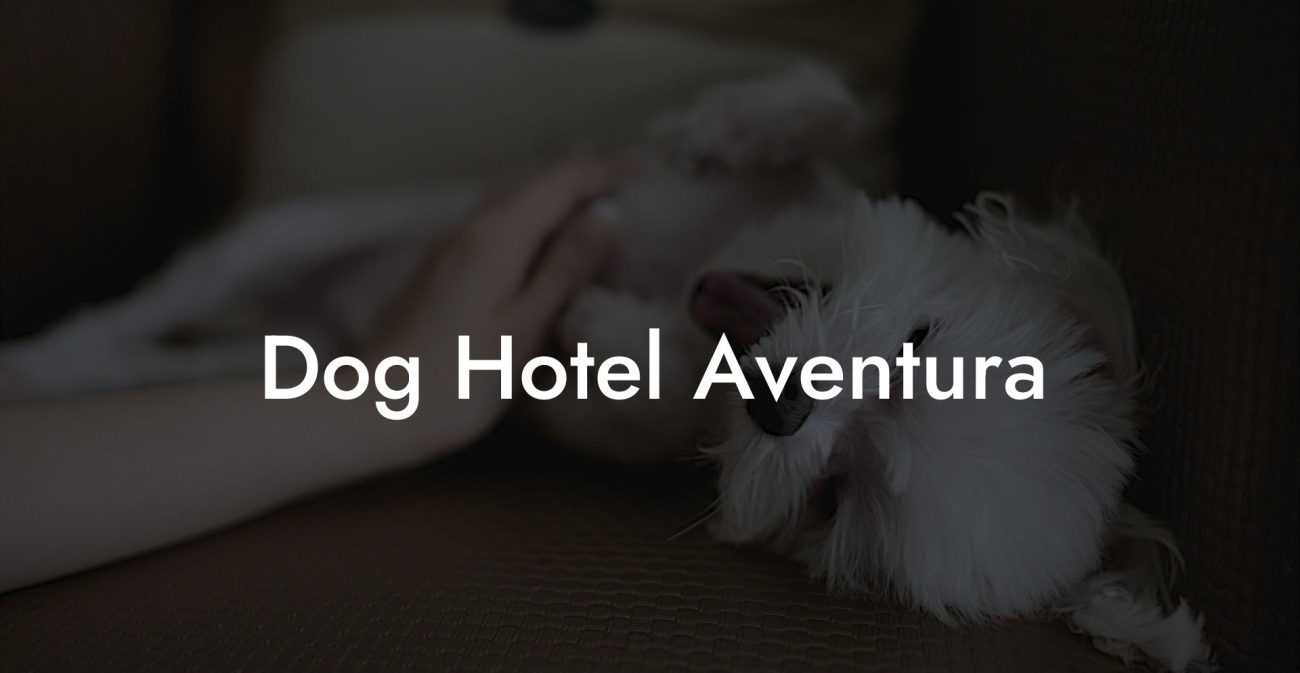 Dog Hotel Aventura