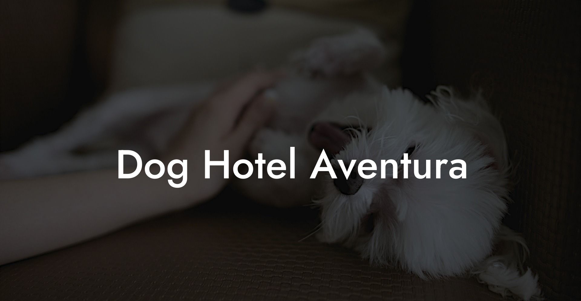 Dog Hotel Aventura