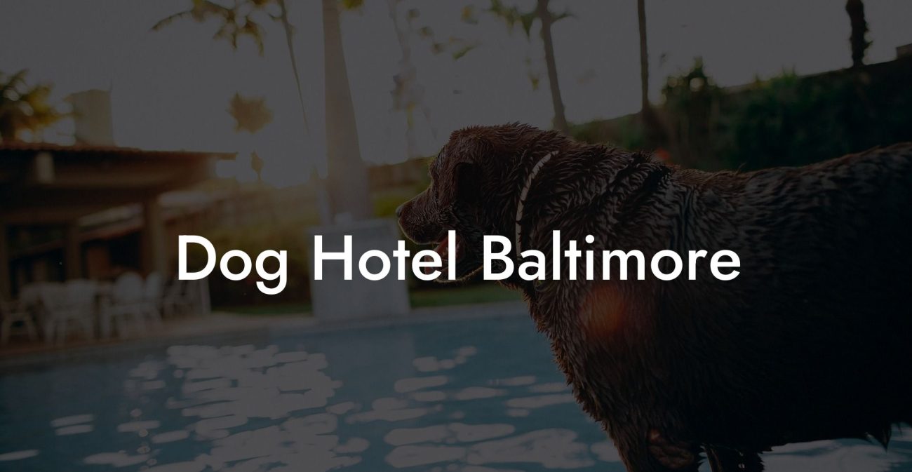 Dog Hotel Baltimore