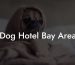 Dog Hotel Bay Area