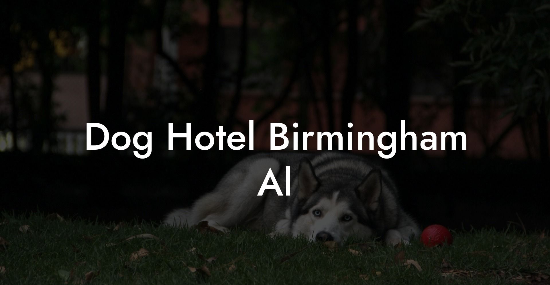 Dog Hotel Birmingham Al