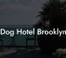 Dog Hotel Brooklyn