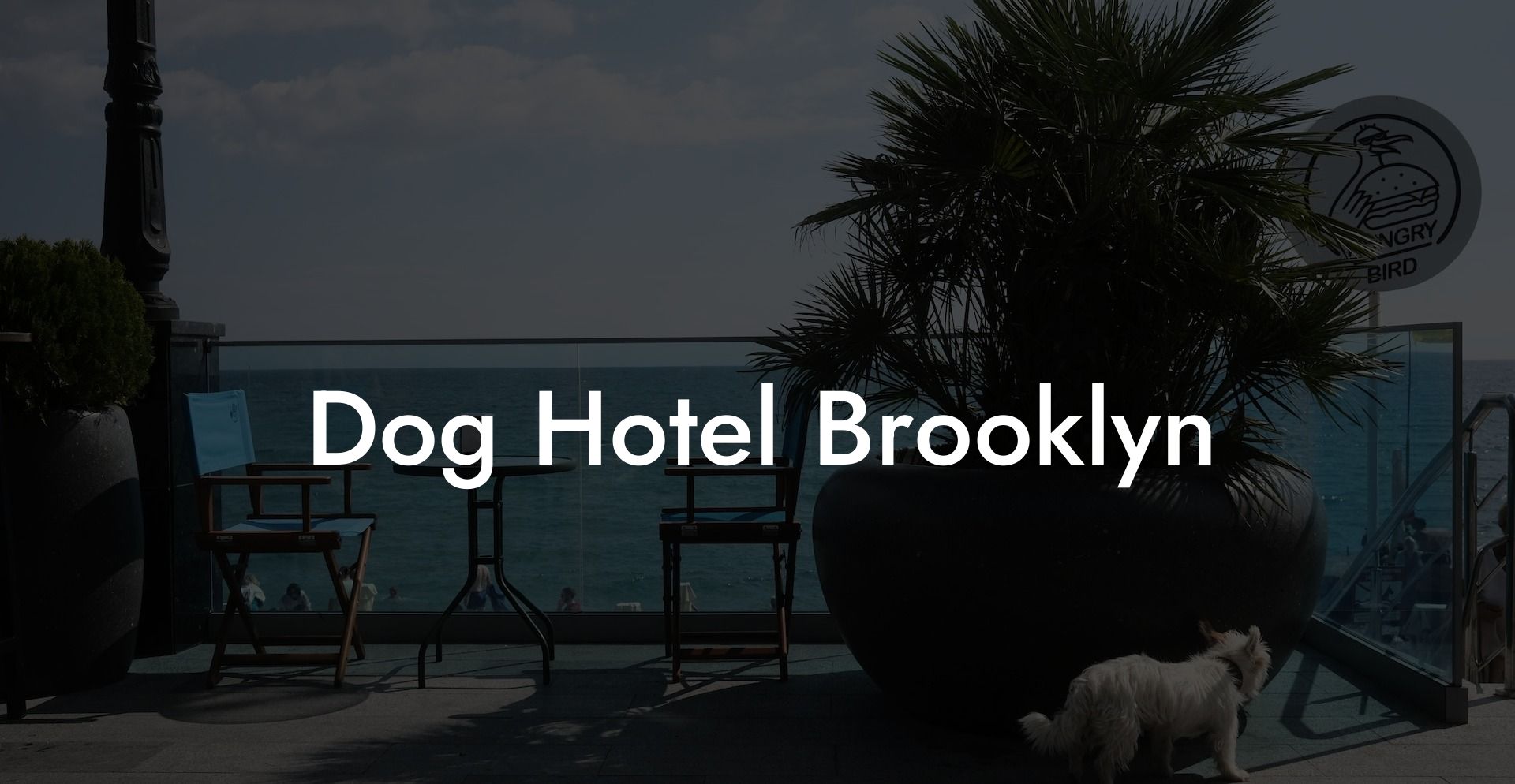 Dog Hotel Brooklyn