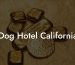 Dog Hotel California