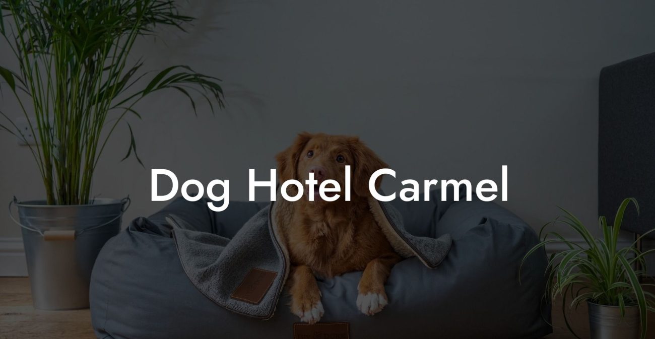 Dog Hotel Carmel