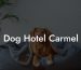 Dog Hotel Carmel