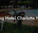 Dog Hotel Charlotte NC