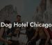 Dog Hotel Chicago