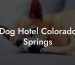 Dog Hotel Colorado Springs