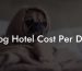 Dog Hotel Cost Per Day
