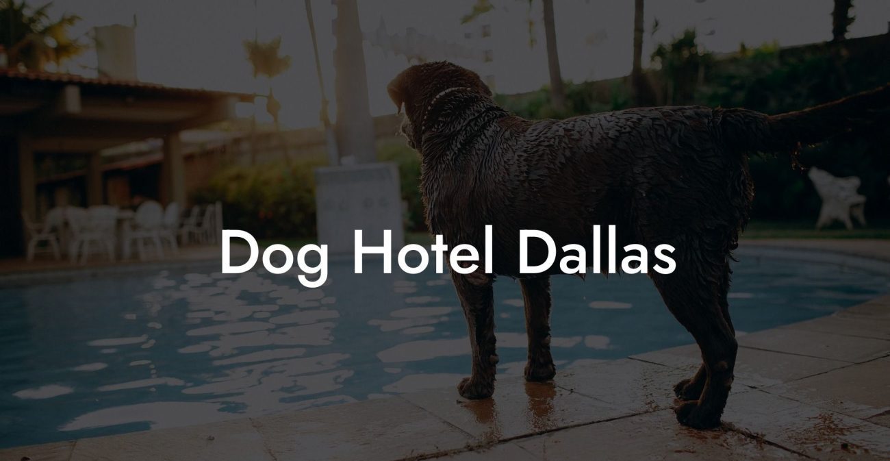 Dog Hotel Dallas