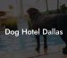 Dog Hotel Dallas