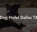 Dog Hotel Dallas TX
