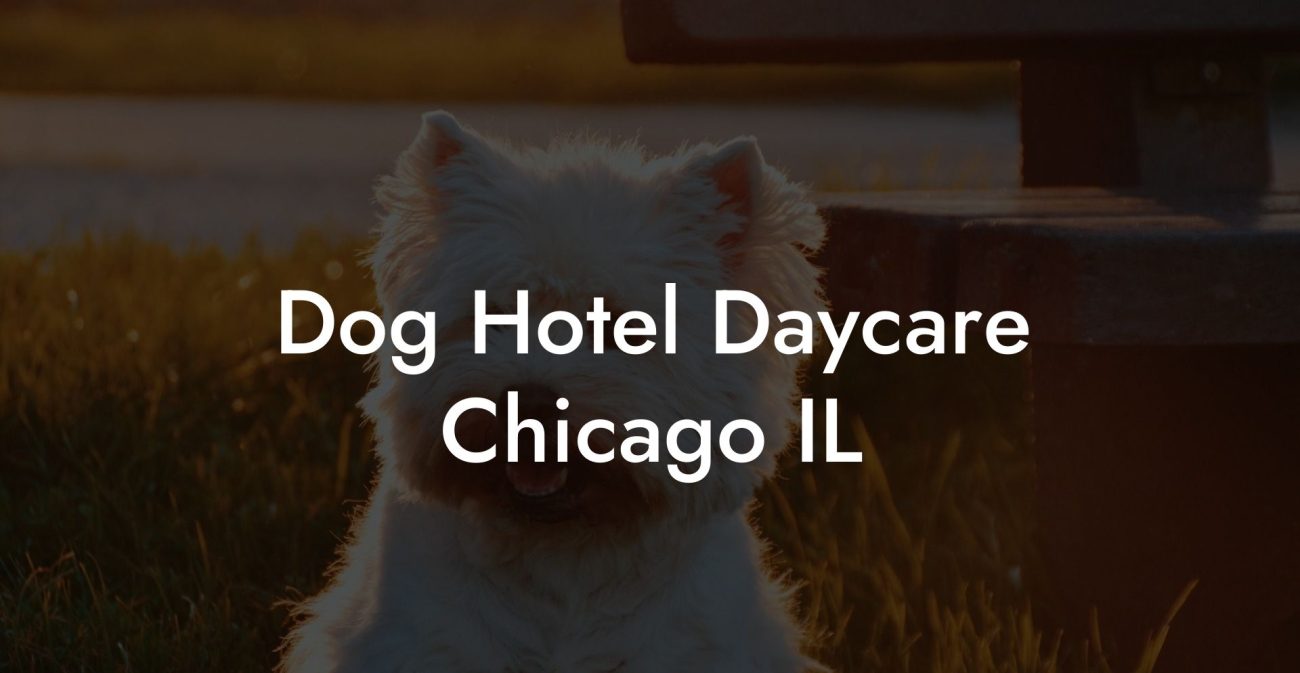 Dog Hotel Daycare Chicago IL