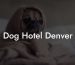 Dog Hotel Denver