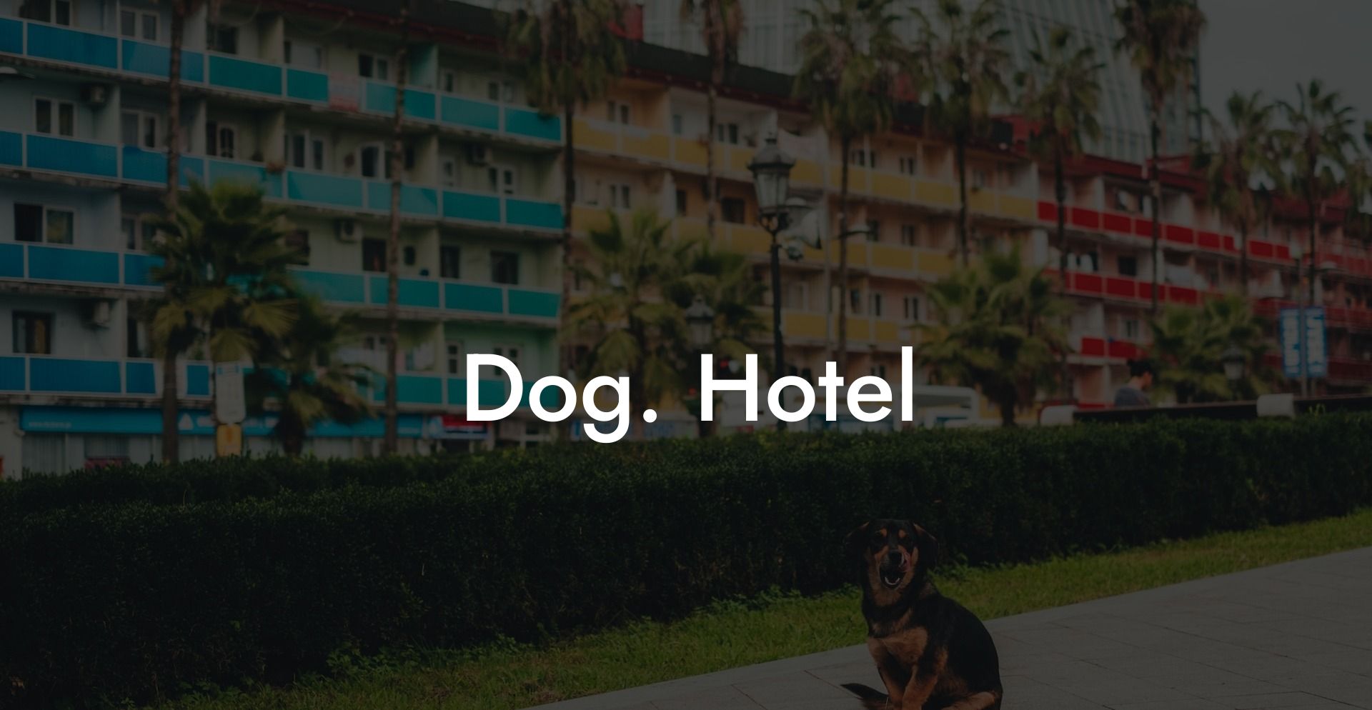 Dog. Hotel