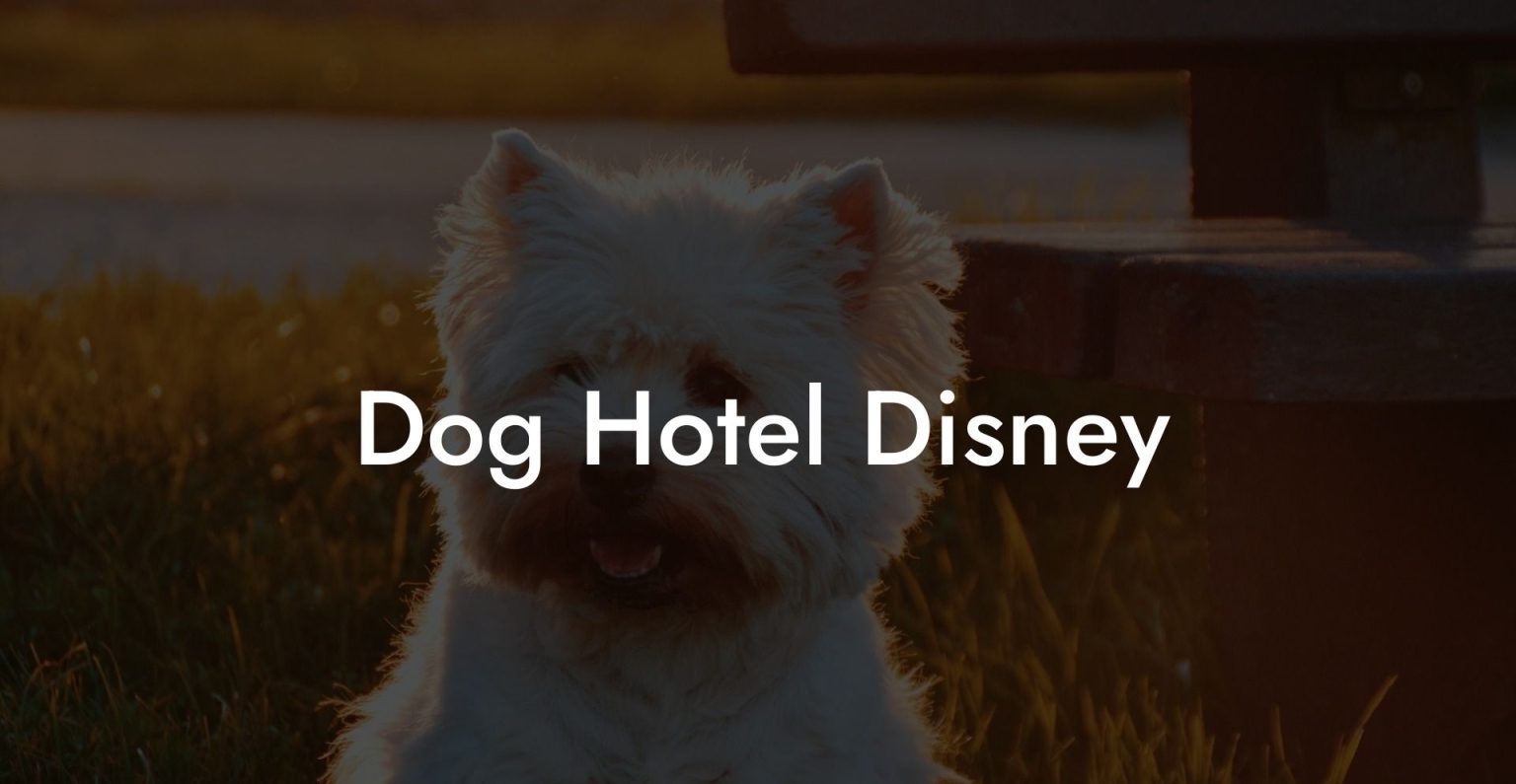 Dog Hotel Disney Dog Hotels