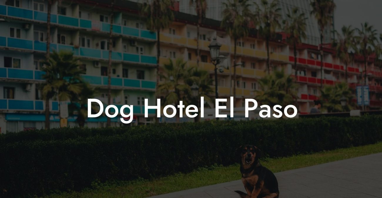 Dog Hotel El Paso