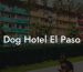 Dog Hotel El Paso