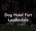 Dog Hotel Fort Lauderdale