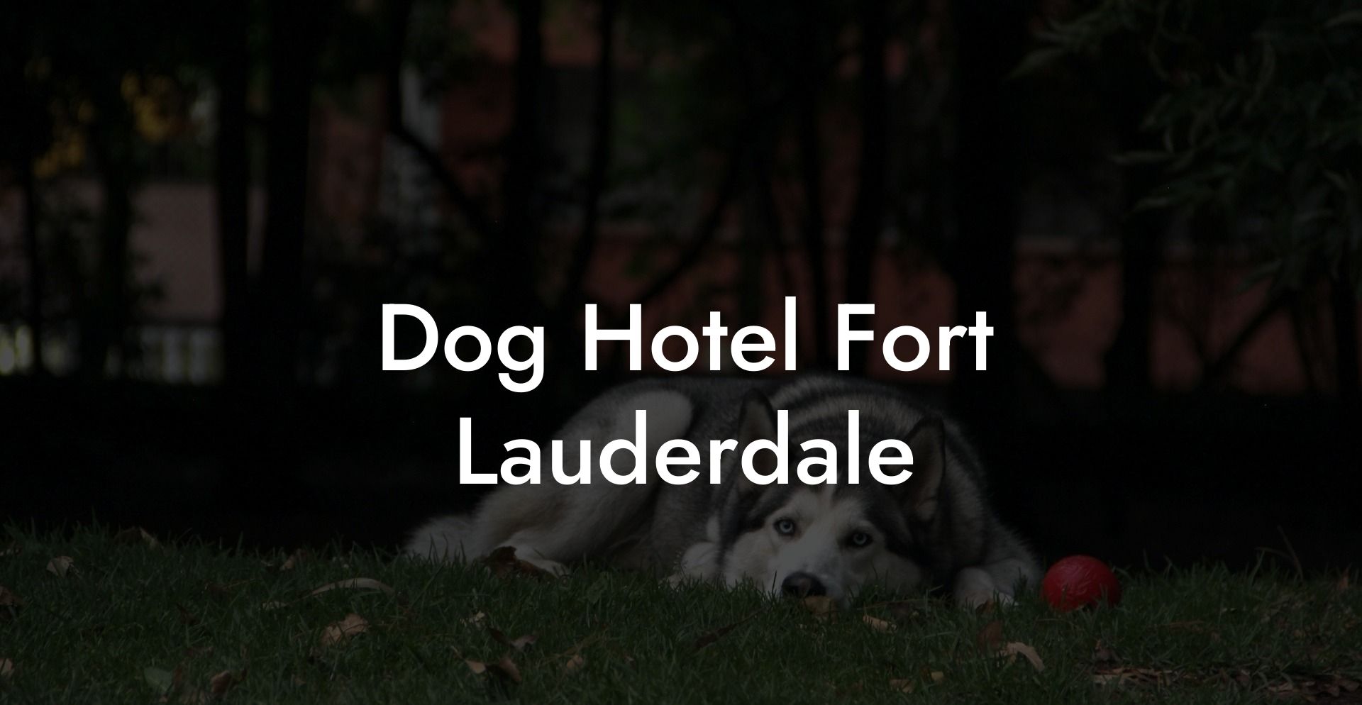 Dog Hotel Fort Lauderdale
