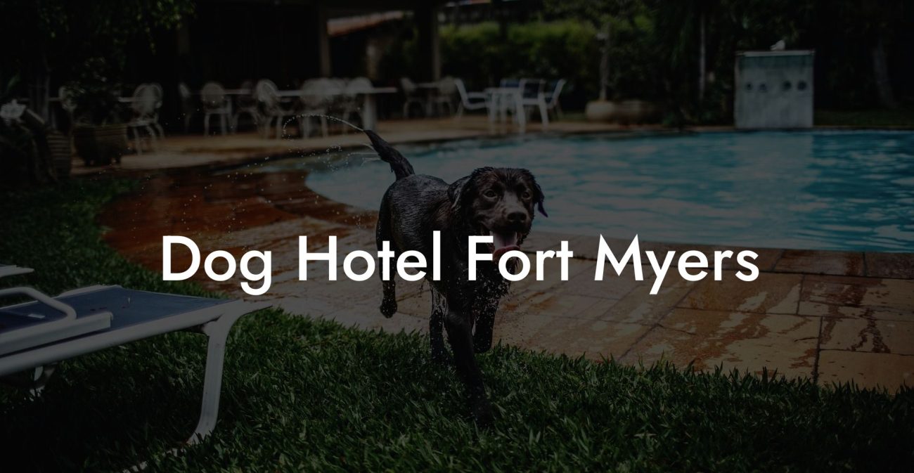 Dog Hotel Fort Myers