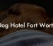 Dog Hotel Fort Worth