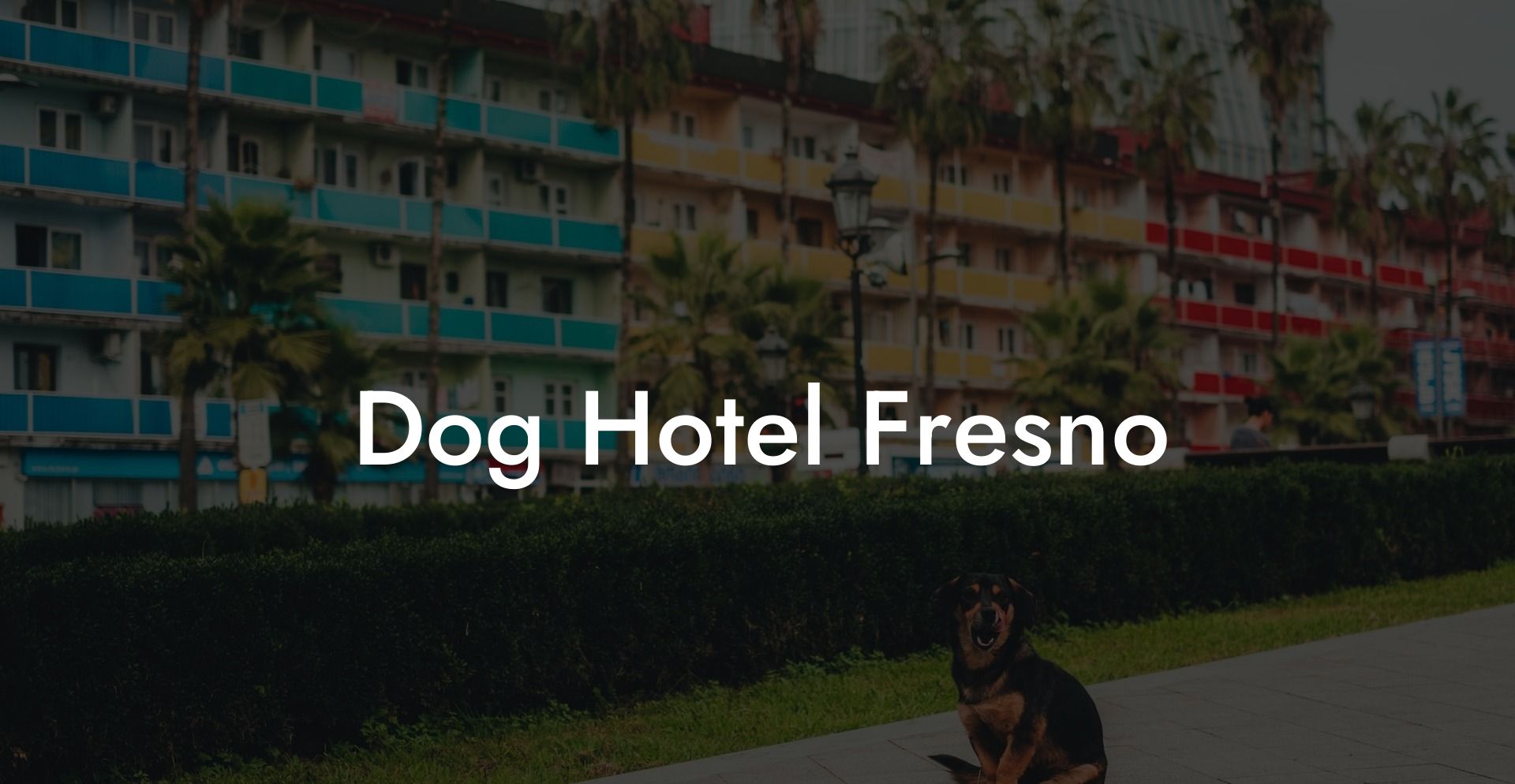 Dog Hotel Fresno