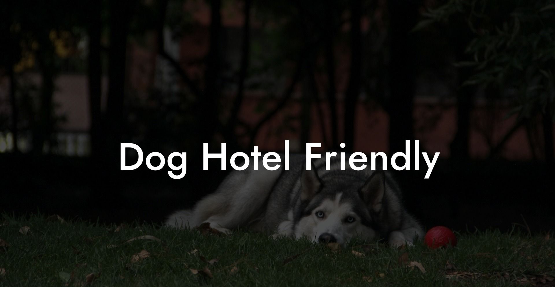 Dog Hotel Friendly