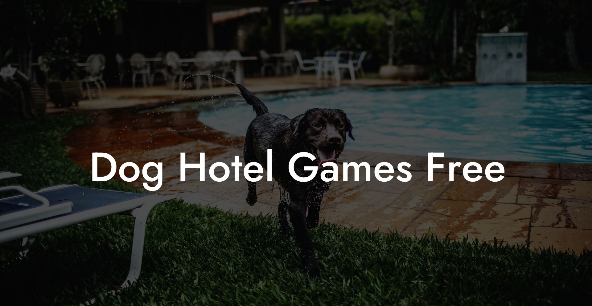 Dog Hotel Games Free