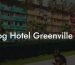 Dog Hotel Greenville Sc