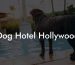 Dog Hotel Hollywood