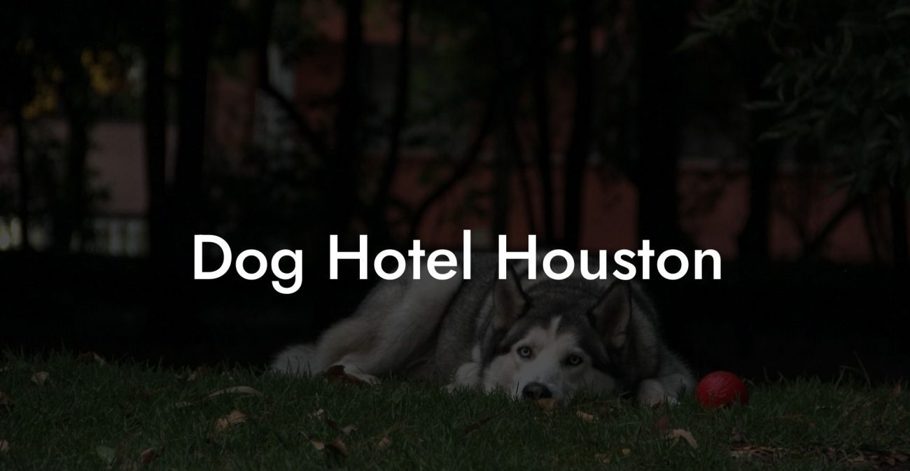 Dog Hotel Houston