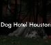 Dog Hotel Houston