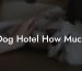 Dog Hotel How Much