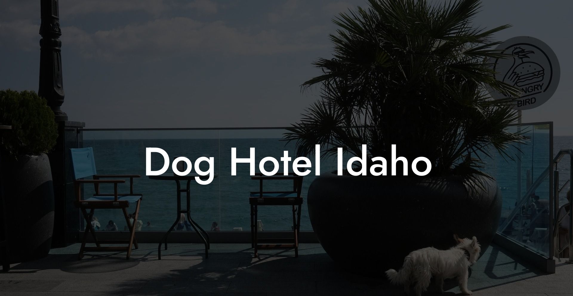 Dog Hotel Idaho