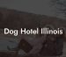 Dog Hotel Illinois