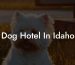Dog Hotel In Idaho
