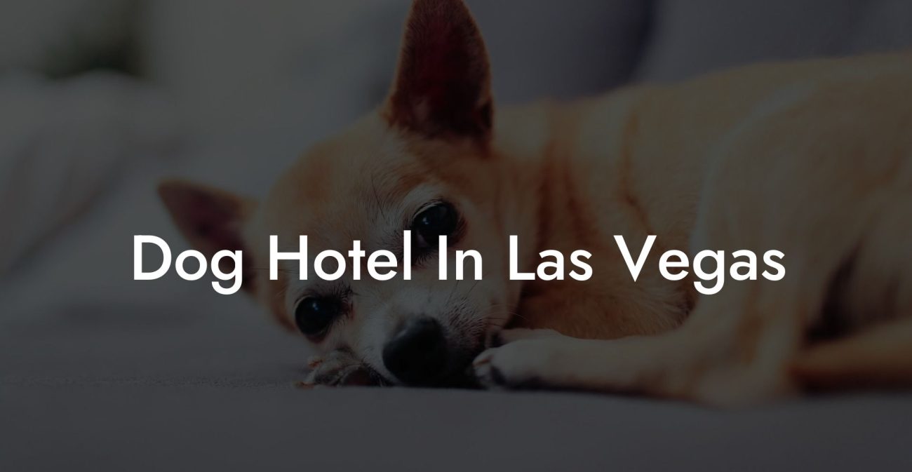 Dog Hotel In Las Vegas