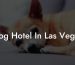 Dog Hotel In Las Vegas